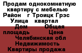 Продам однокомнатную квартиру с мебелью › Район ­ г.Троицк,Грэс  › Улица ­ квартал 10 › Дом ­ 12 › Общая площадь ­ 111 › Цена ­ 500 - Челябинская обл. Недвижимость » Квартиры продажа   